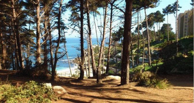 Departamento Algarrobo Condominio Laguna 外观 照片